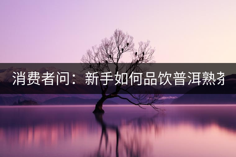 消費(fèi)者問(wèn)：新手如何品飲普洱熟茶？