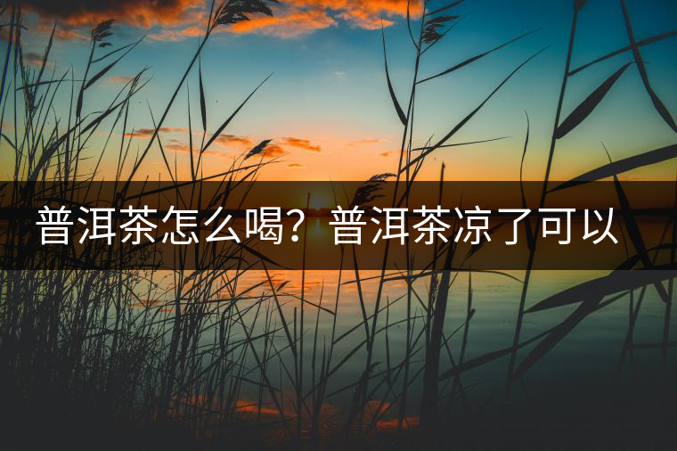 普洱茶怎么喝？普洱茶涼了可以喝嗎？