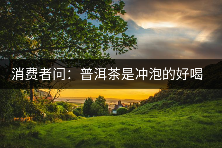 消費(fèi)者問(wèn)：普洱茶是沖泡的好喝？還是煮著喝好？