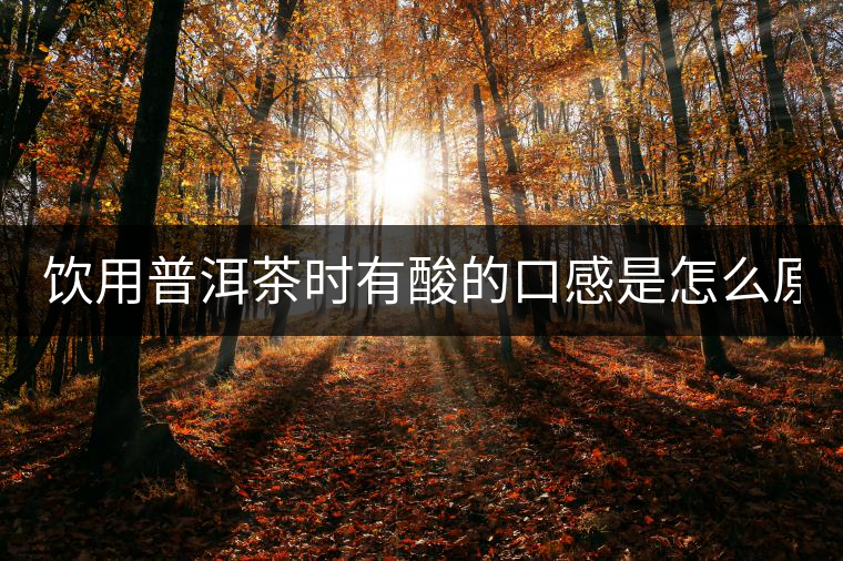 飲用普洱茶時(shí)有酸的口感是怎么原因？
