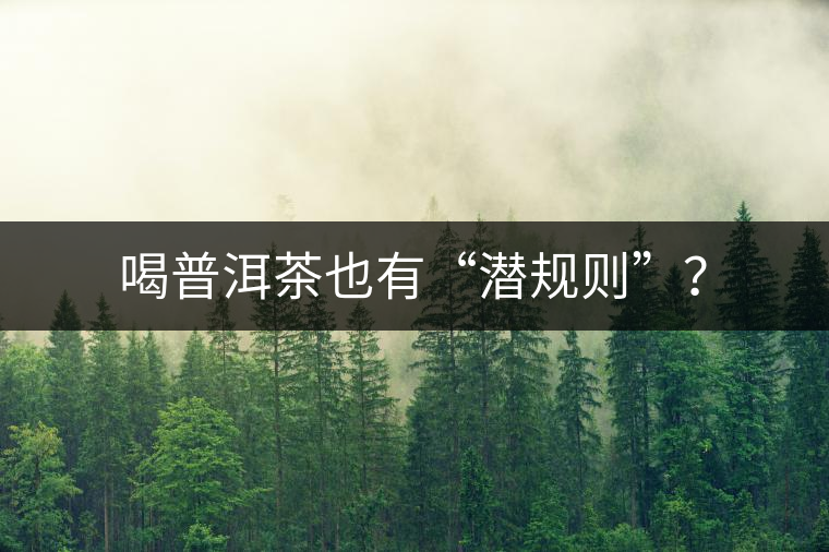 喝普洱茶也有“潛規(guī)則”？
