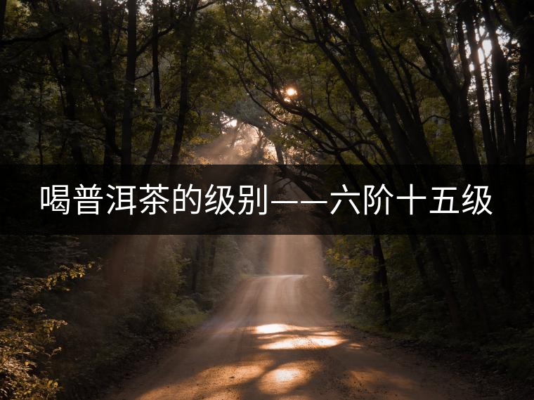 喝普洱茶的級(jí)別——六階十五級(jí)