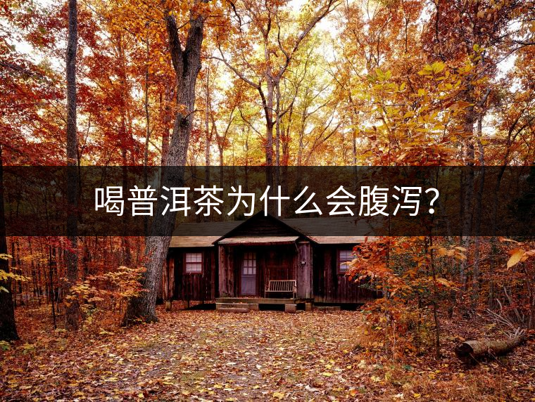 喝普洱茶為什么會(huì)腹瀉？