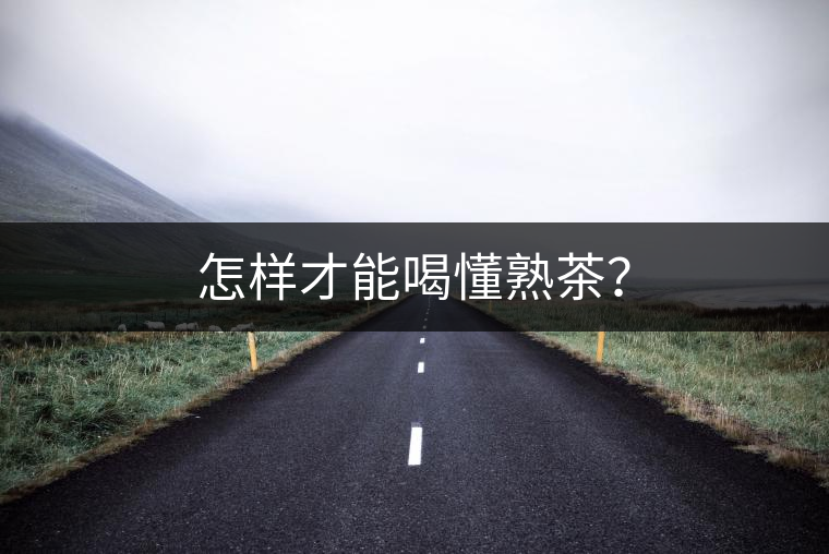 怎樣才能喝懂熟茶？