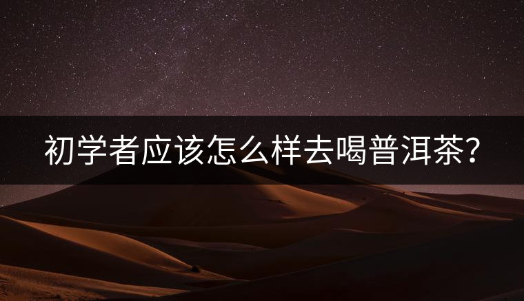 初學者應該怎么樣去喝普洱茶？