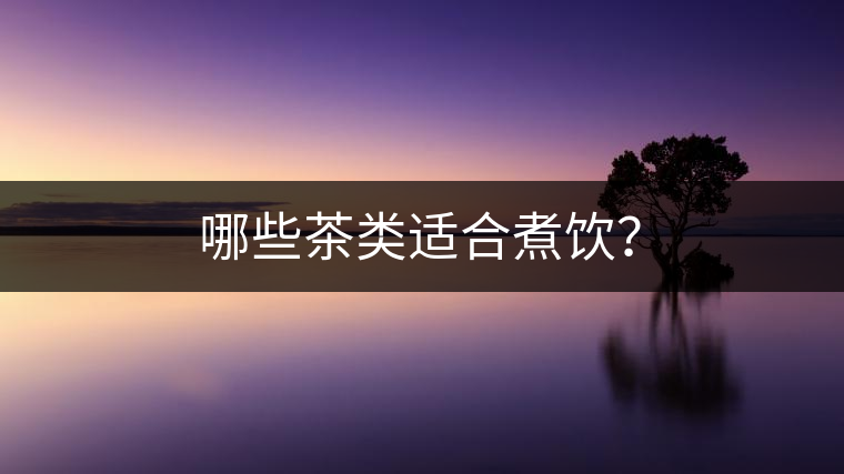 哪些茶類適合煮飲？