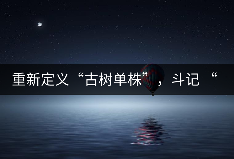 重新定義“古樹(shù)單株”，斗記 “超級(jí)審評(píng)”有償招募告罄在即！