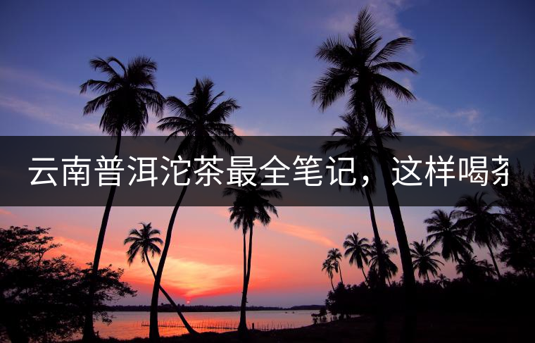 云南普洱沱茶最全筆記，這樣喝茶才更健康！