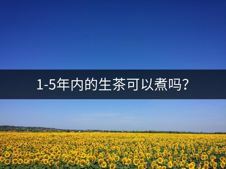 1-5年內(nèi)的生茶可以煮嗎？