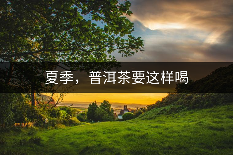 夏季，普洱茶要這樣喝