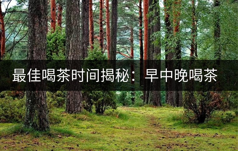 最佳喝茶時間揭秘：早中晚喝茶指南