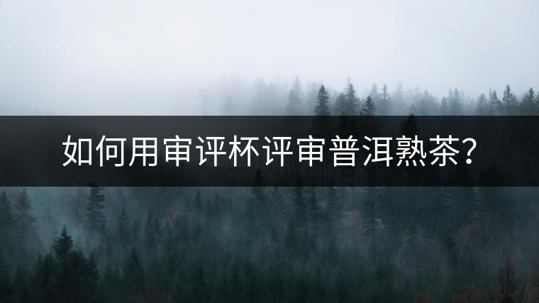 如何用審評(píng)杯評(píng)審普洱熟茶？