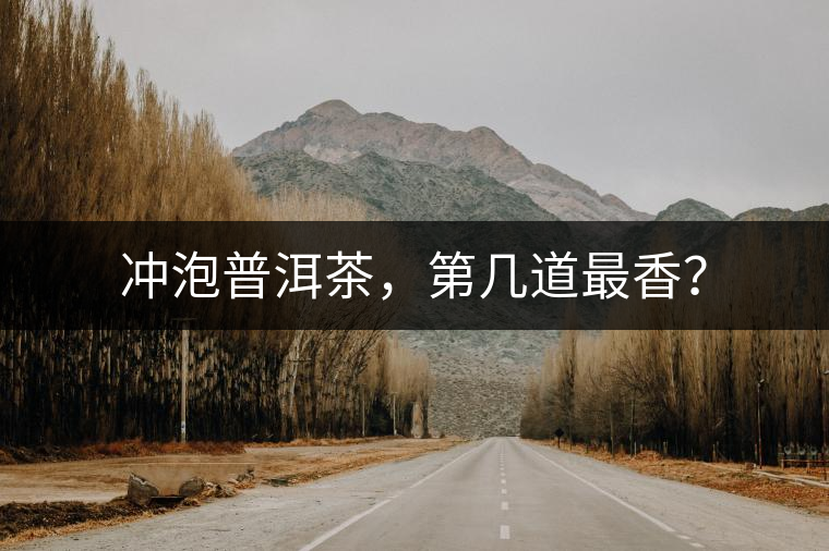 沖泡普洱茶，第幾道最香？