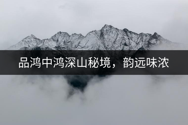 品鴻中鴻深山秘境，韻遠味濃