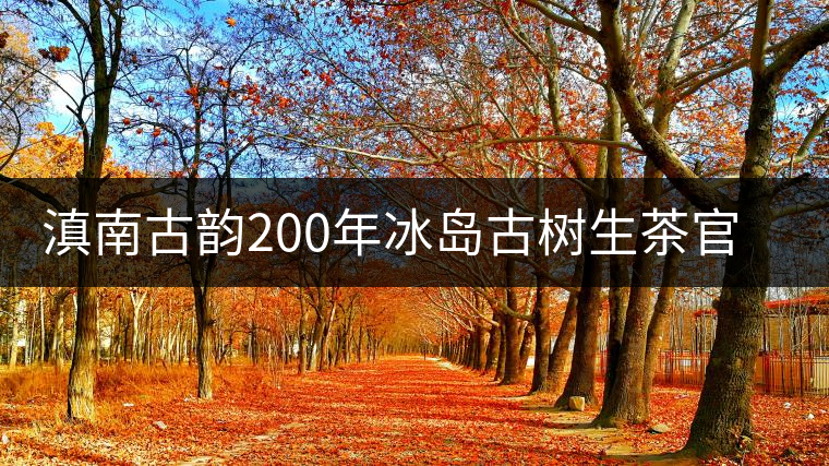 滇南古韻200年冰島古樹生茶官方評(píng)測(cè)