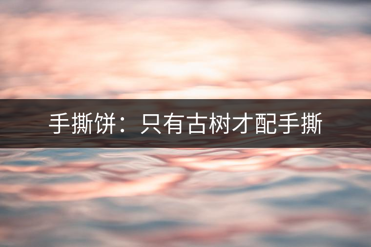 手撕餅：只有古樹(shù)才配手撕