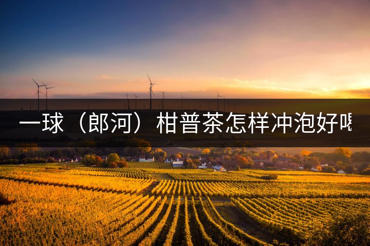 一球（郎河）柑普茶怎樣沖泡好喝？