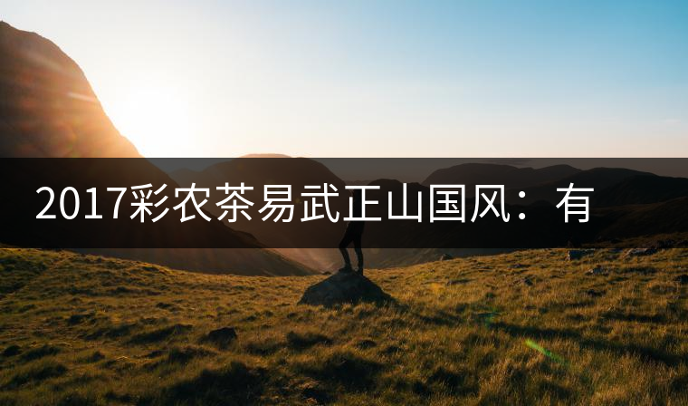 2017彩農(nóng)茶易武正山國(guó)風(fēng)：有茶韻，亦有國(guó)風(fēng)