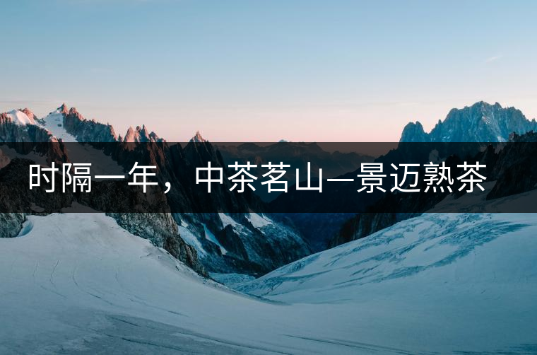 時(shí)隔一年，中茶茗山—景邁熟茶有哪些變化