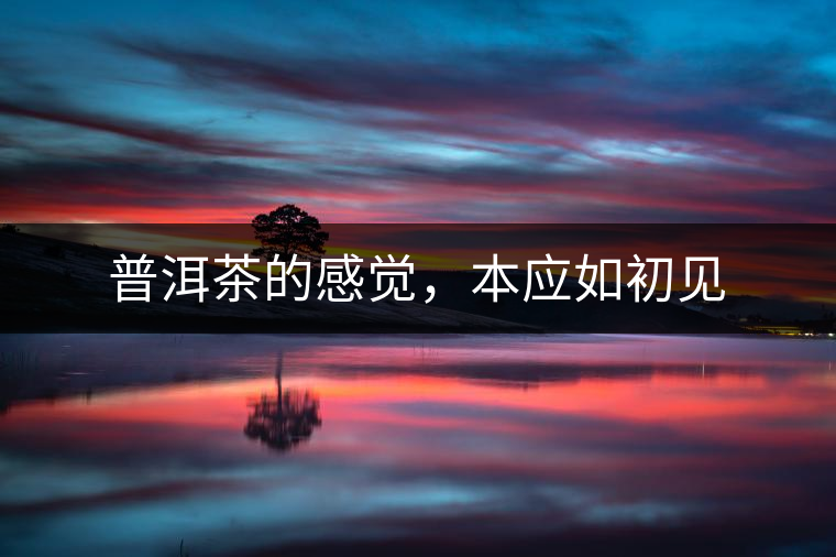 普洱茶的感覺，本應如初見
