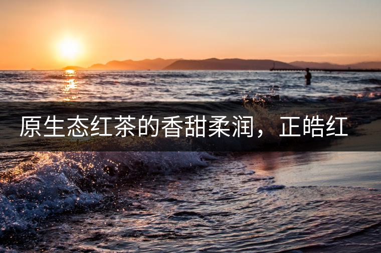 原生態(tài)紅茶的香甜柔潤，正皓紅的魅力無可抵擋！