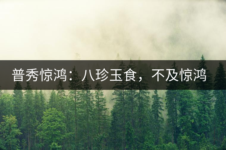 普秀驚鴻：八珍玉食，不及驚鴻一湯