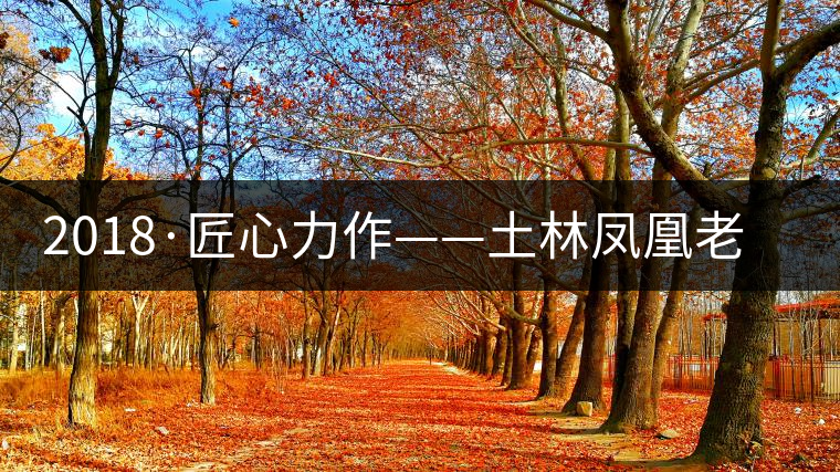 2018·匠心力作——土林鳳凰老茶頭古樹(shù)磚茶 2018·匠心力作——土林鳳凰老茶頭古樹(shù)磚茶