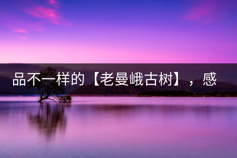 品不一樣的【老曼峨古樹】，感受別樣甘甜與溫婉