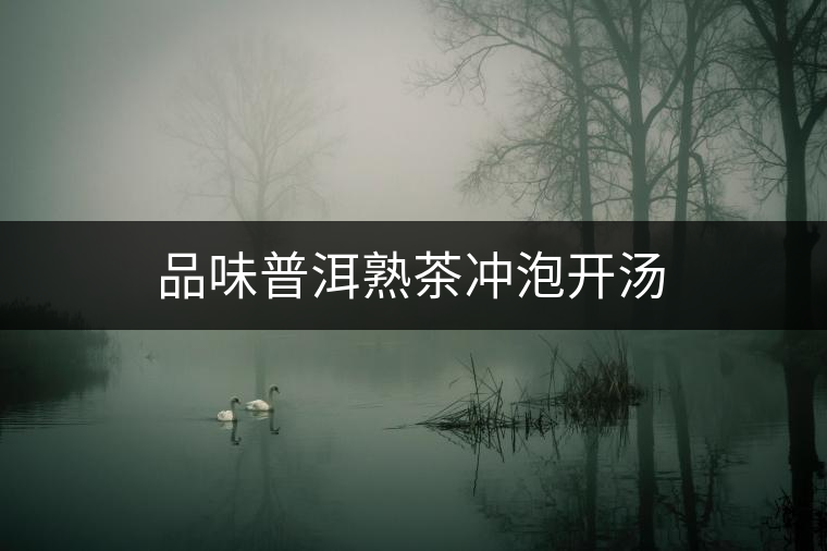 品味普洱熟茶沖泡開(kāi)湯 品味普洱熟茶沖泡開(kāi)湯