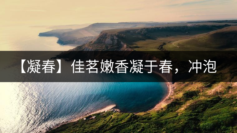 【凝春】佳茗嫩香凝于春，沖泡要訣盡在此