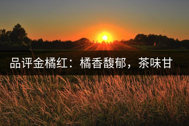 品評金橘紅：橘香馥郁，茶味甘醇，匠心拼配，臻于至善
