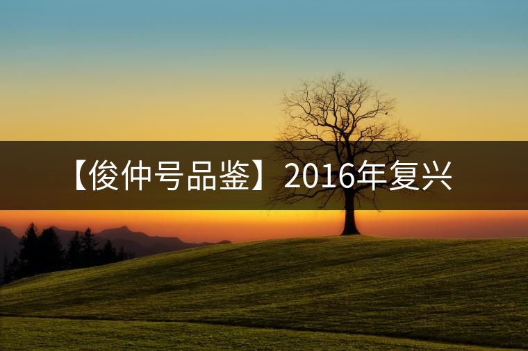 【俊仲號(hào)品鑒】2016年復(fù)興