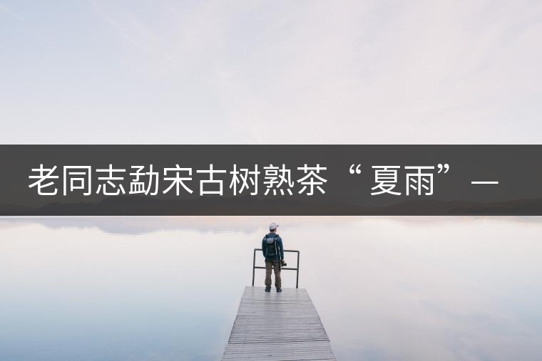 老同志勐宋古樹熟茶“ 夏雨”— 飲茶伴夏，只為您！