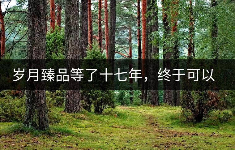 歲月臻品等了十七年，終于可以品味歲月