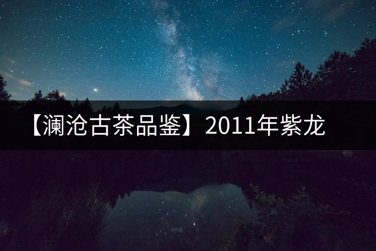 【瀾滄古茶品鑒】2011年紫龍圓茶 【瀾滄古茶品鑒】2011年紫龍圓茶