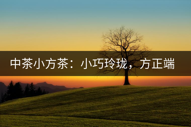 中茶小方茶：小巧玲瓏，方正端莊