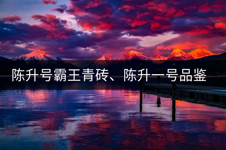 陳升號霸王青磚、陳升一號品鑒【圖】