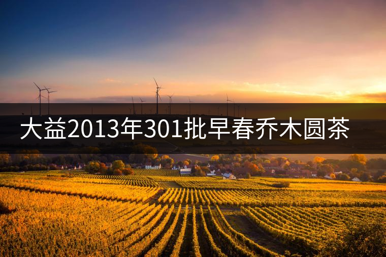 大益2013年301批早春?jiǎn)棠緢A茶開湯品鑒