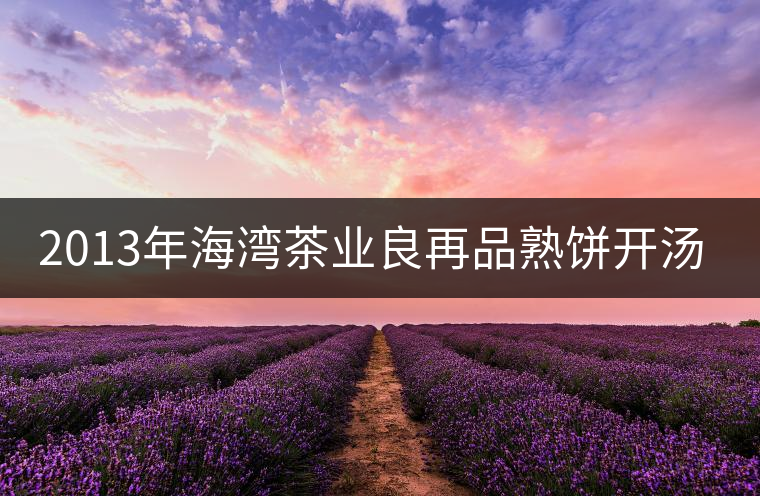 2013年海灣茶業(yè)良再品熟餅開湯品鑒