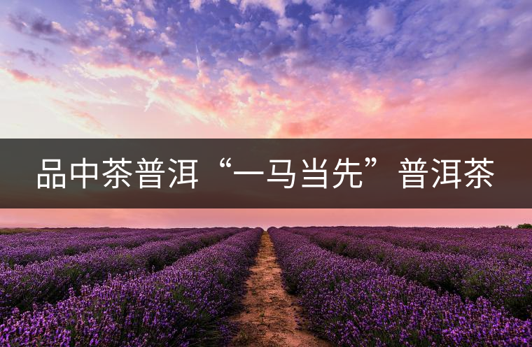 品中茶普洱“一馬當(dāng)先”普洱茶