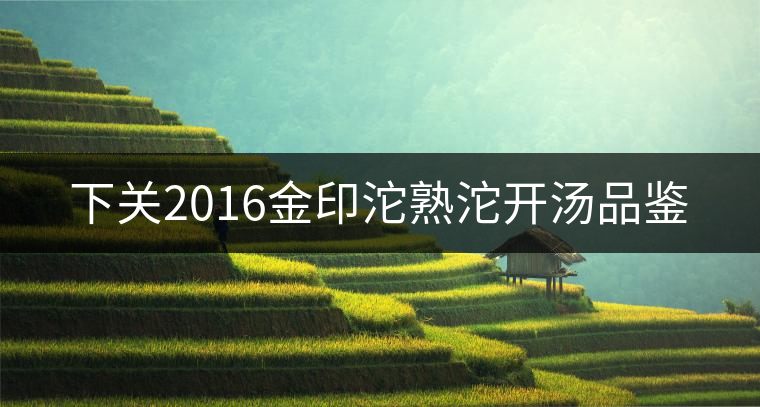 下關(guān)2016金印沱熟沱開湯品鑒