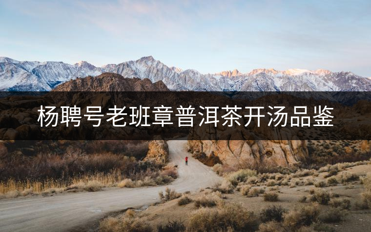 楊聘號(hào)老班章普洱茶開湯品鑒