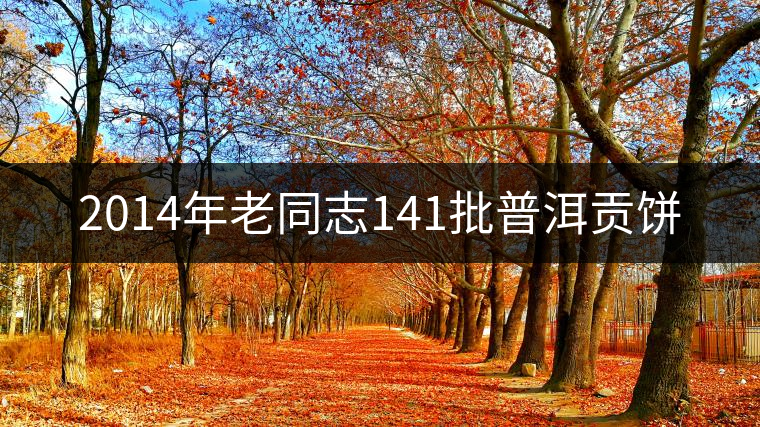 2014年老同志141批普洱貢餅