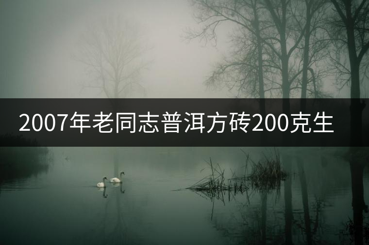 2007年老同志普洱方磚200克生茶開(kāi)湯