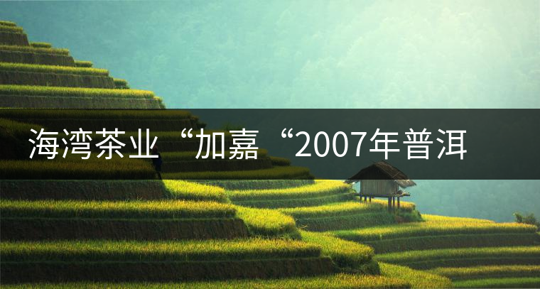 海灣茶業(yè)“加嘉“2007年普洱方磚(生茶)品評(píng) 海灣茶業(yè)“加嘉“2007年普洱方磚(生茶)品評(píng)