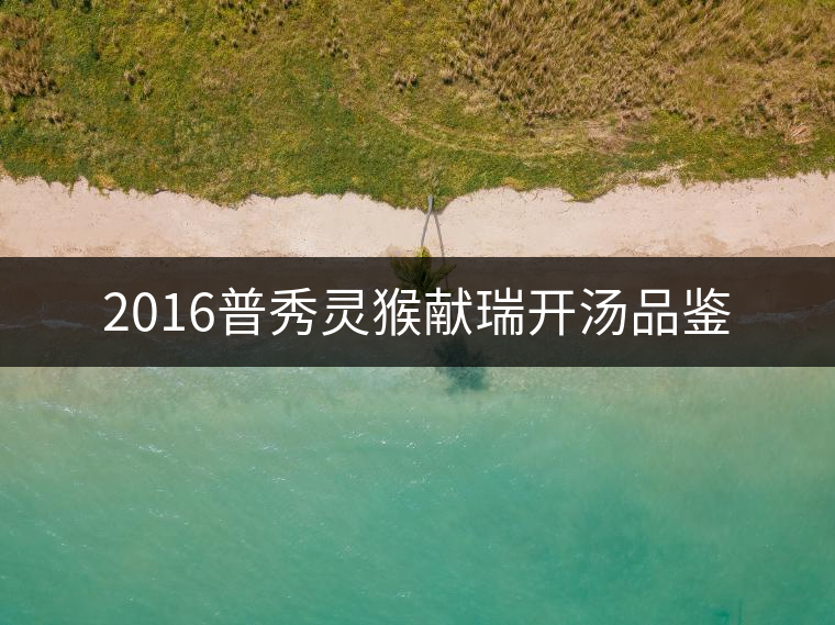 2016普秀靈猴獻瑞開湯品鑒 2016普秀靈猴獻瑞開湯品鑒