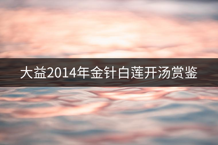 大益2014年金針白蓮開湯賞鑒