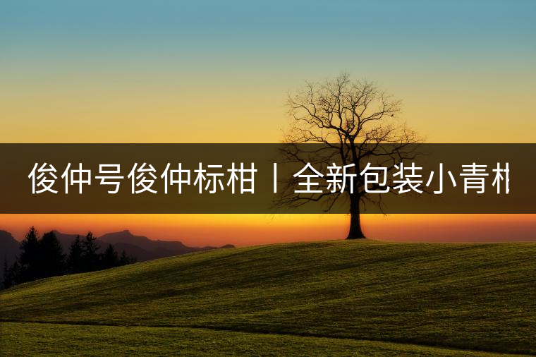 俊仲號(hào)俊仲標(biāo)柑丨全新包裝小青柑震撼上市！