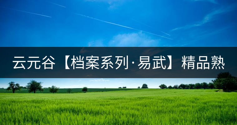 云元谷【檔案系列·易武】精品熟茶，精裝上市！