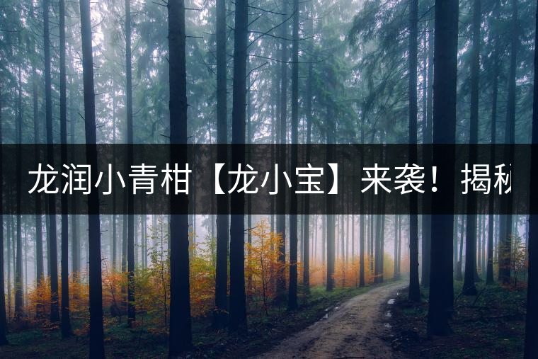 龍潤(rùn)小青柑【龍小寶】來襲！揭秘它的前半生！